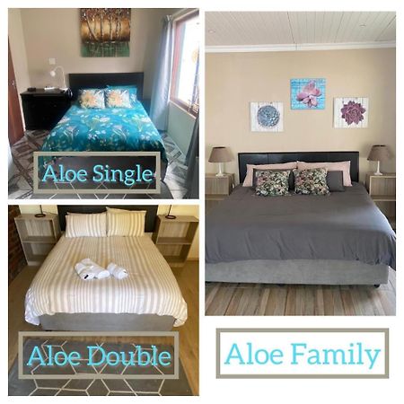 Aloe Guest Rooms Bloemfontein Zewnętrze zdjęcie